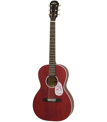 Amazon | モーリス Morris Y-023 MH アコースティックギター アコギ